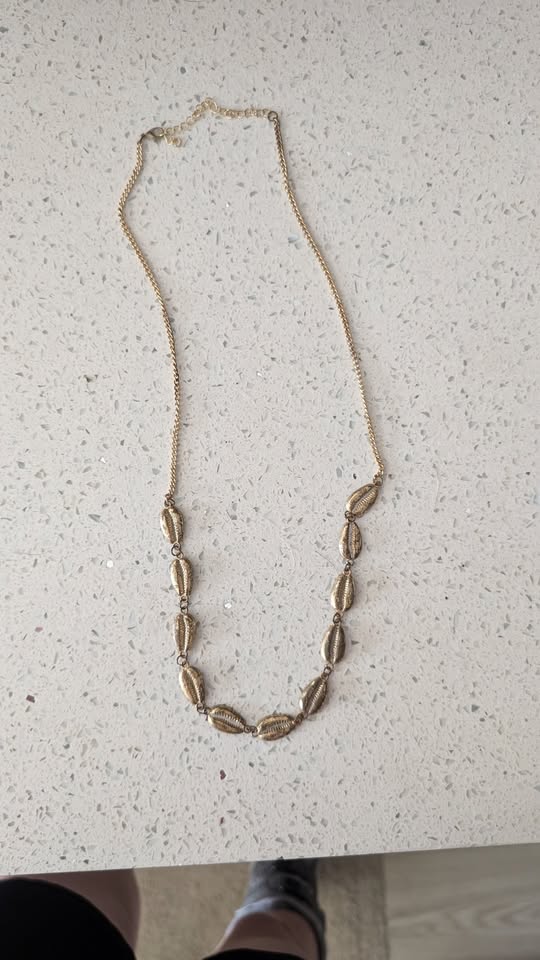 FOUND ITEM - Mokoli'i (Chinaman's Hat), Oahu | Stolen Stuff Hawaii