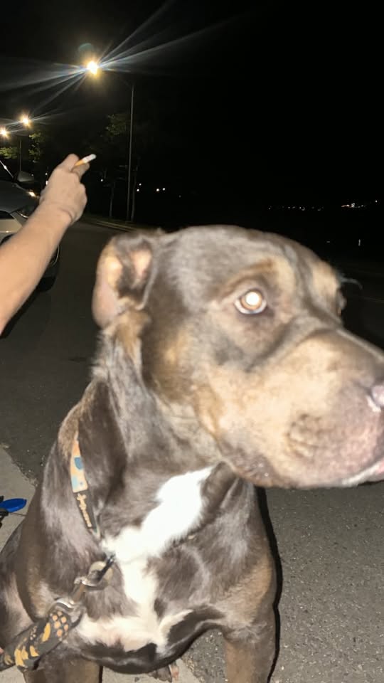FOUND ITEM - Makakilo, Oahu | Stolen Stuff Hawaii