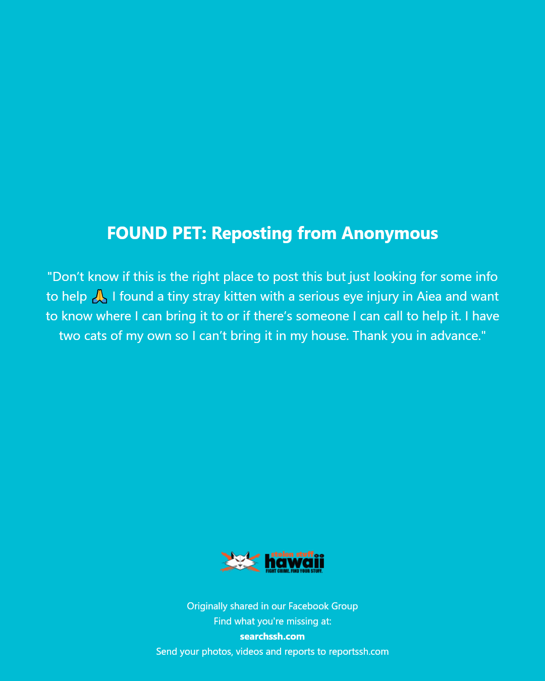 FOUND PET - Aiea, Oahu | Stolen Stuff Hawaii