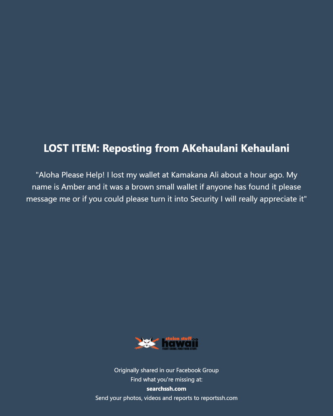 LOST ITEM - Kamakana Ali, Kapolei, Oahu | Stolen Stuff Hawaii