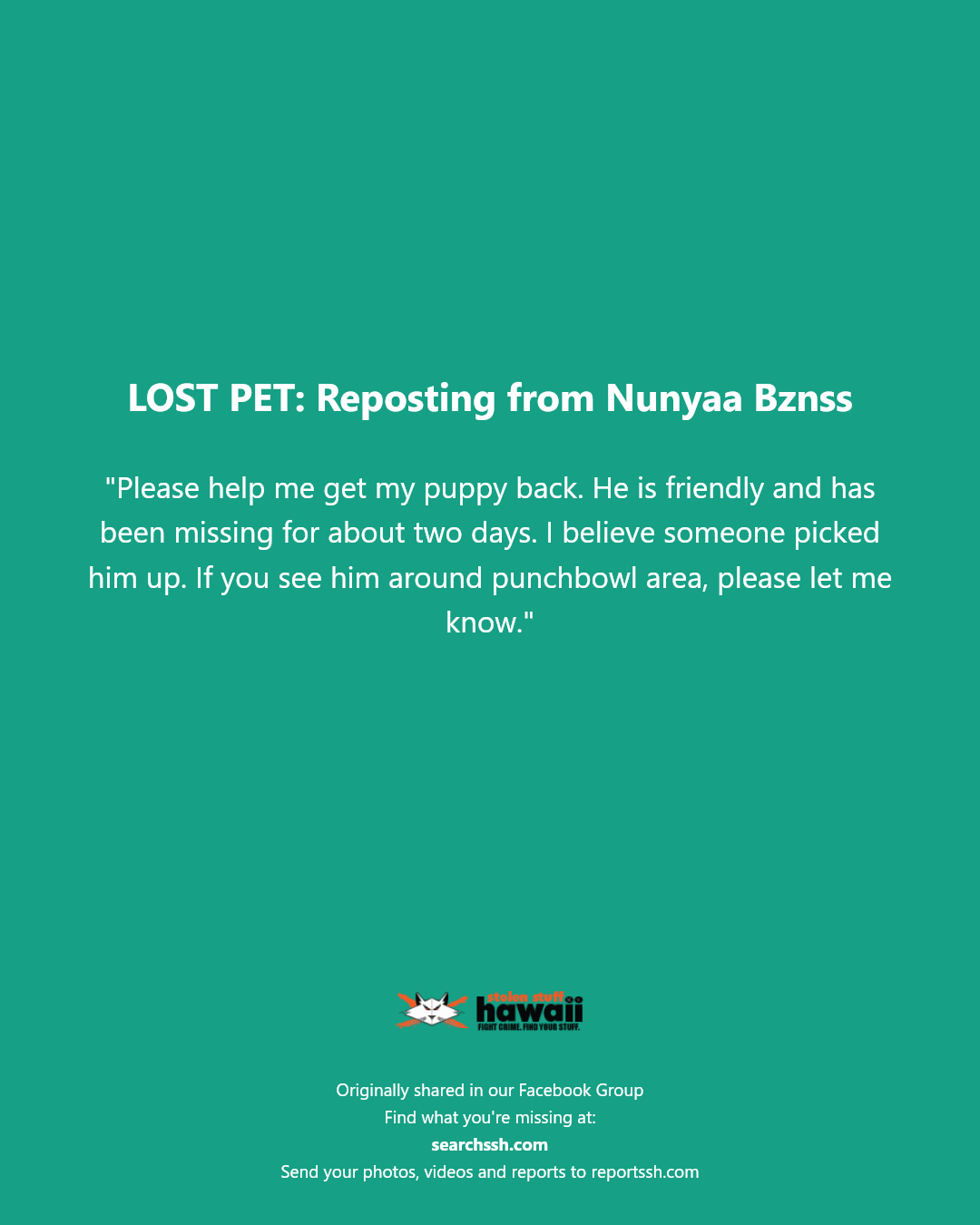LOST PET - Punchbowl area, Honolulu | Stolen Stuff Hawaii