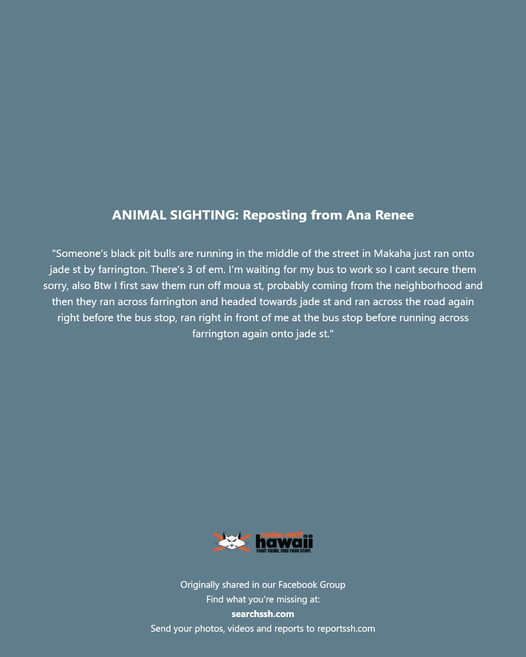 ANIMAL SIGHTING - Makaha, Jade Street, Farrington Highway, Moua Street | Stolen Stuff Hawaii