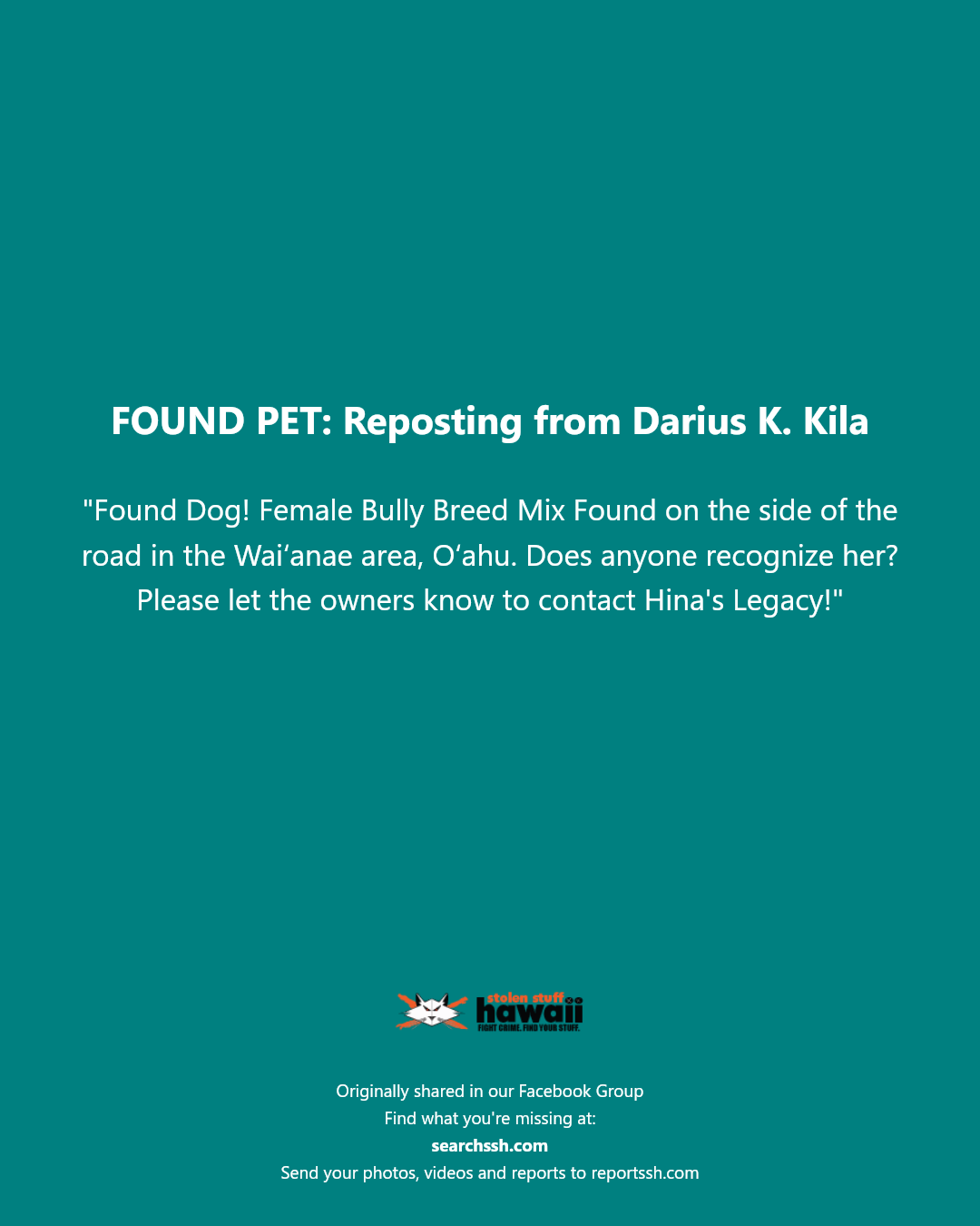 FOUND PET - Waiʻanae area, Oʻahu | Stolen Stuff Hawaii