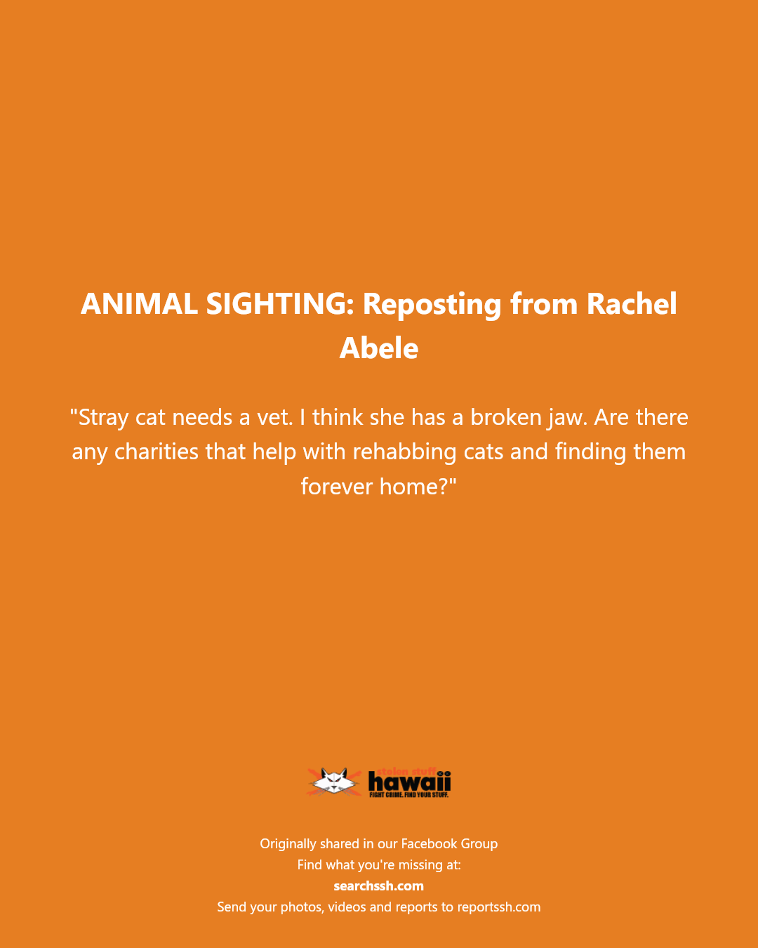 ANIMAL SIGHTING - Hawaii | Stolen Stuff Hawaii