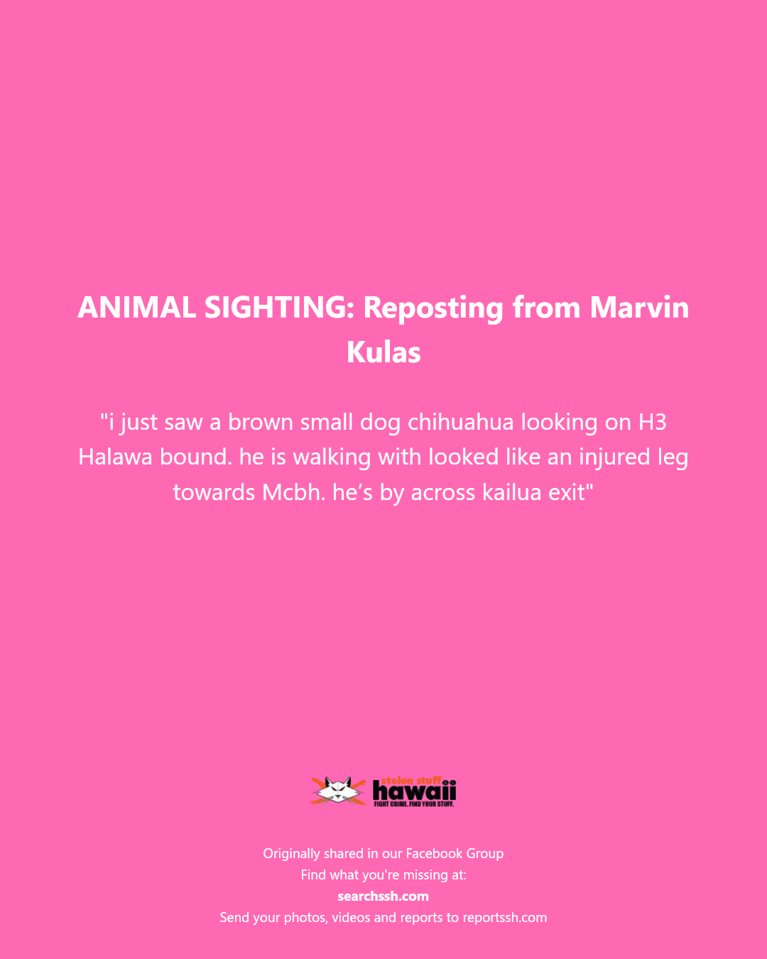 ANIMAL SIGHTING - H3 Halawa bound, Kailua exit | Stolen Stuff Hawaii