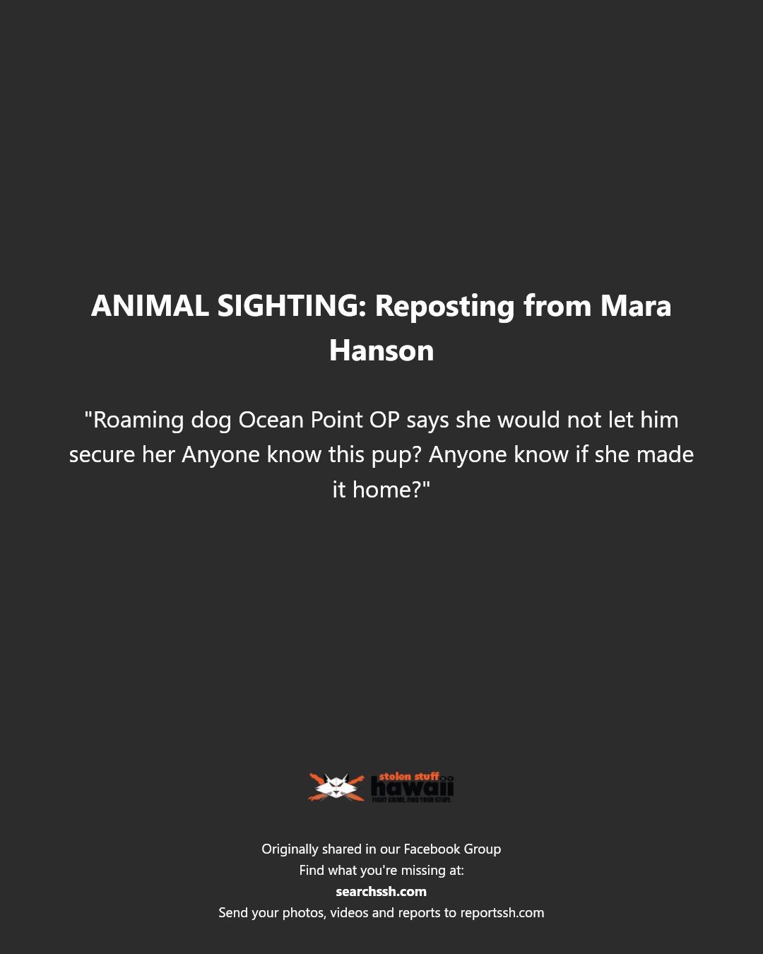 ANIMAL SIGHTING - Hawaii | Stolen Stuff Hawaii