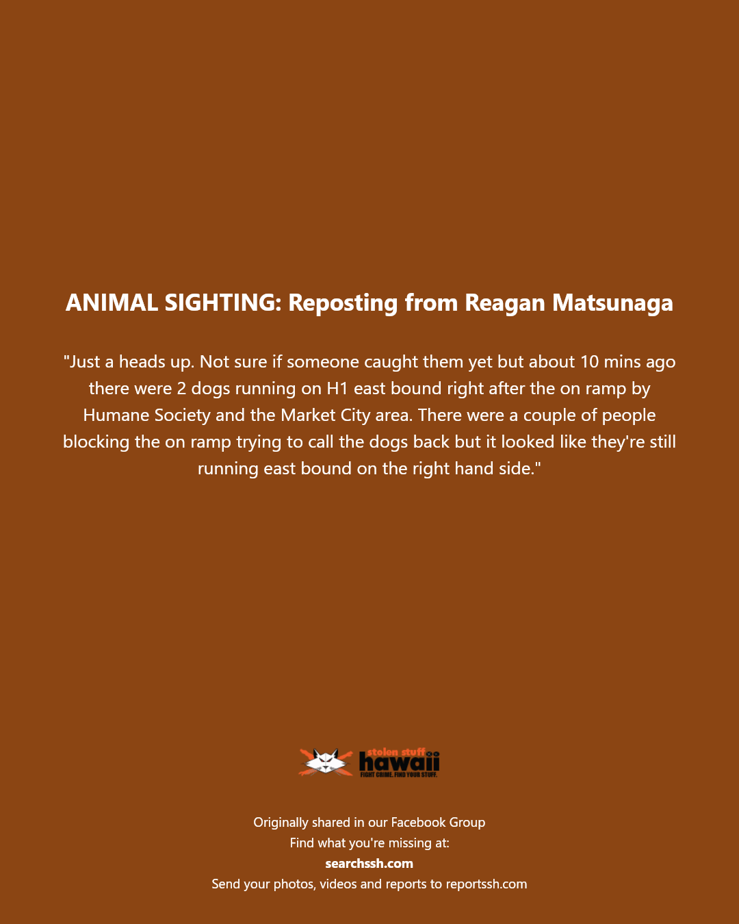 ANIMAL SIGHTING - H1 east bound near Humane Society and Market City area, Honolulu, Oahu | Stolen Stuff Hawaii