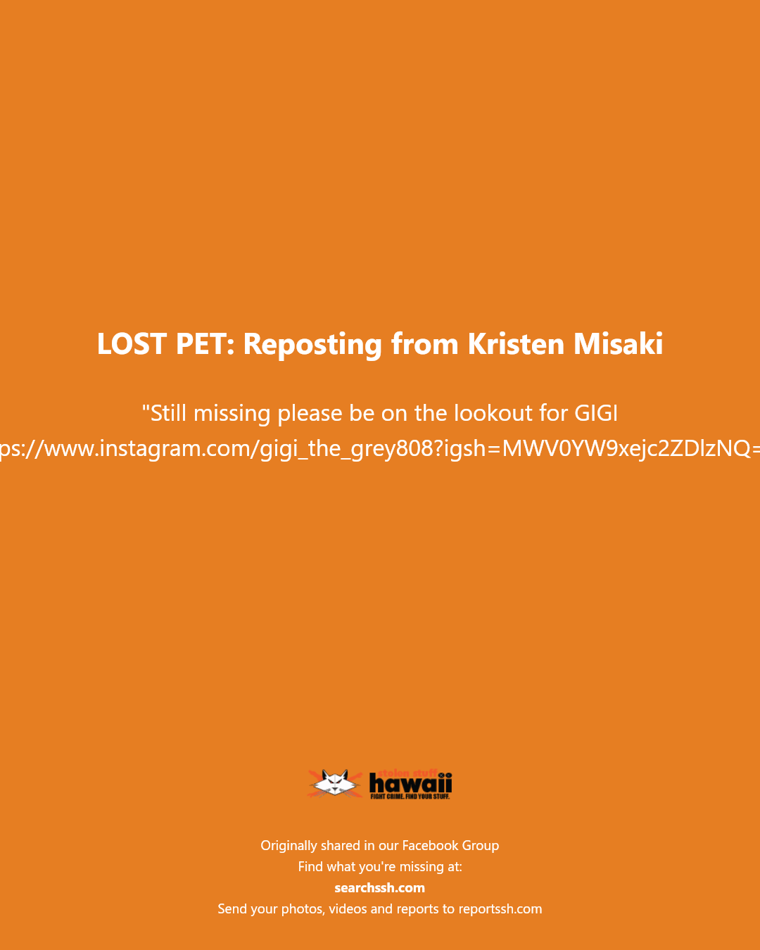 LOST PET - Hawaii | Stolen Stuff Hawaii