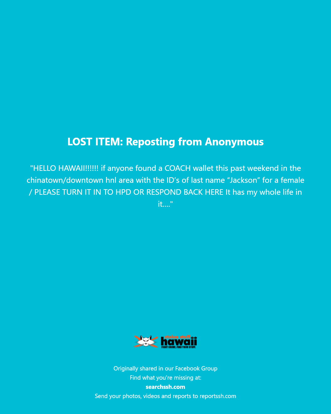 LOST ITEM - Chinatown/Downtown Honolulu area, Oahu | Stolen Stuff Hawaii