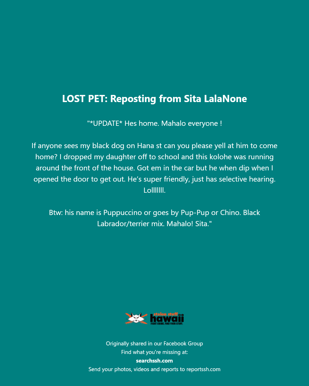 LOST PET - Hana Street, Hawaii | Stolen Stuff Hawaii