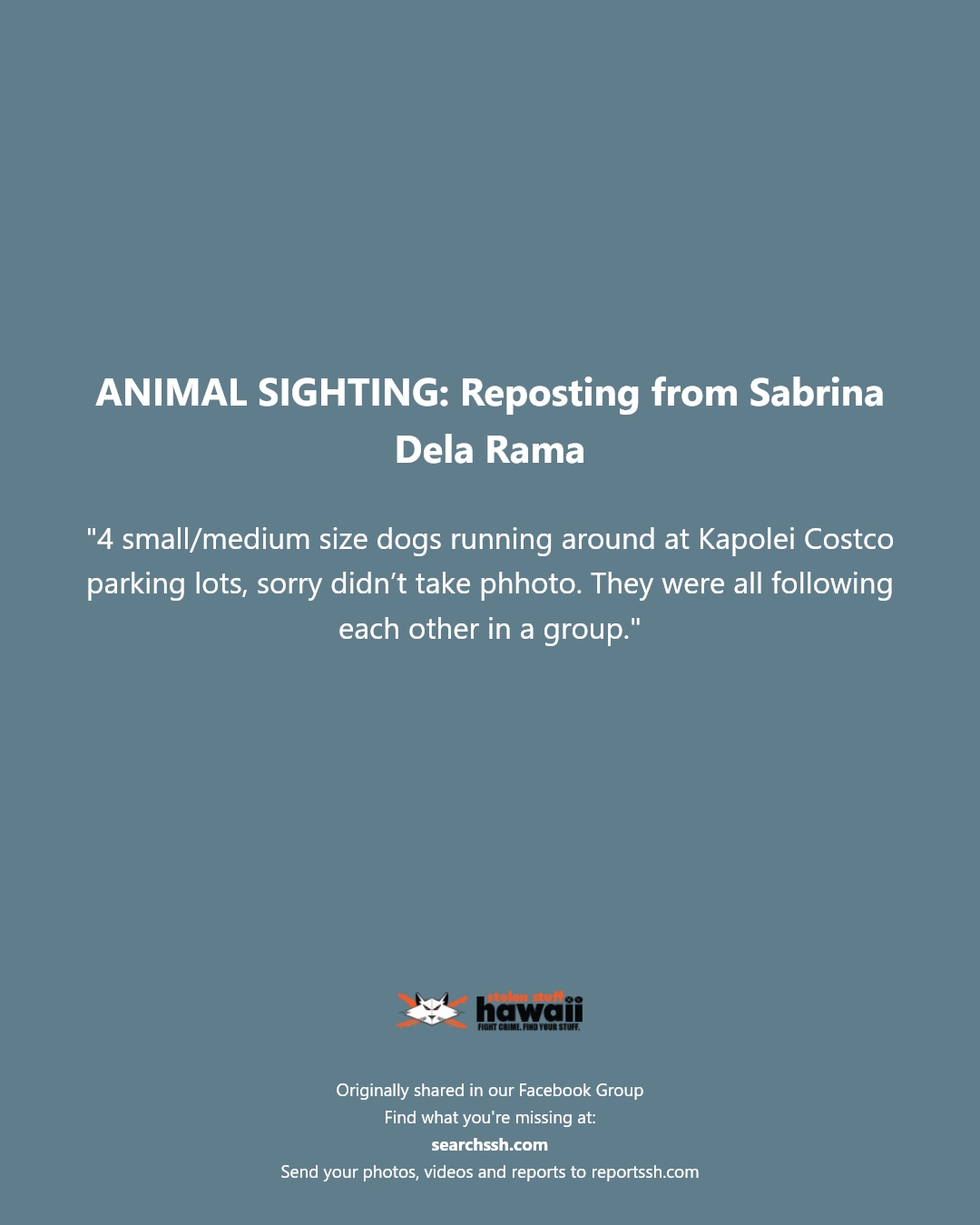 ANIMAL SIGHTING - Kapolei Costco, Kapolei, Oahu | Stolen Stuff Hawaii