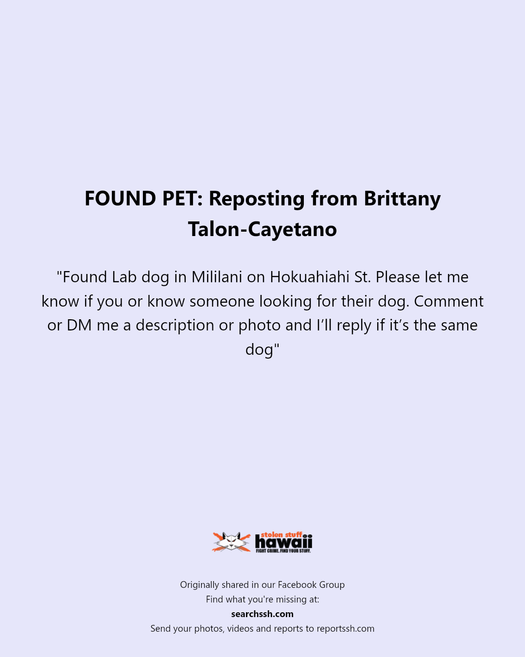FOUND PET - Hokuahiahi Street, Mililani | Stolen Stuff Hawaii