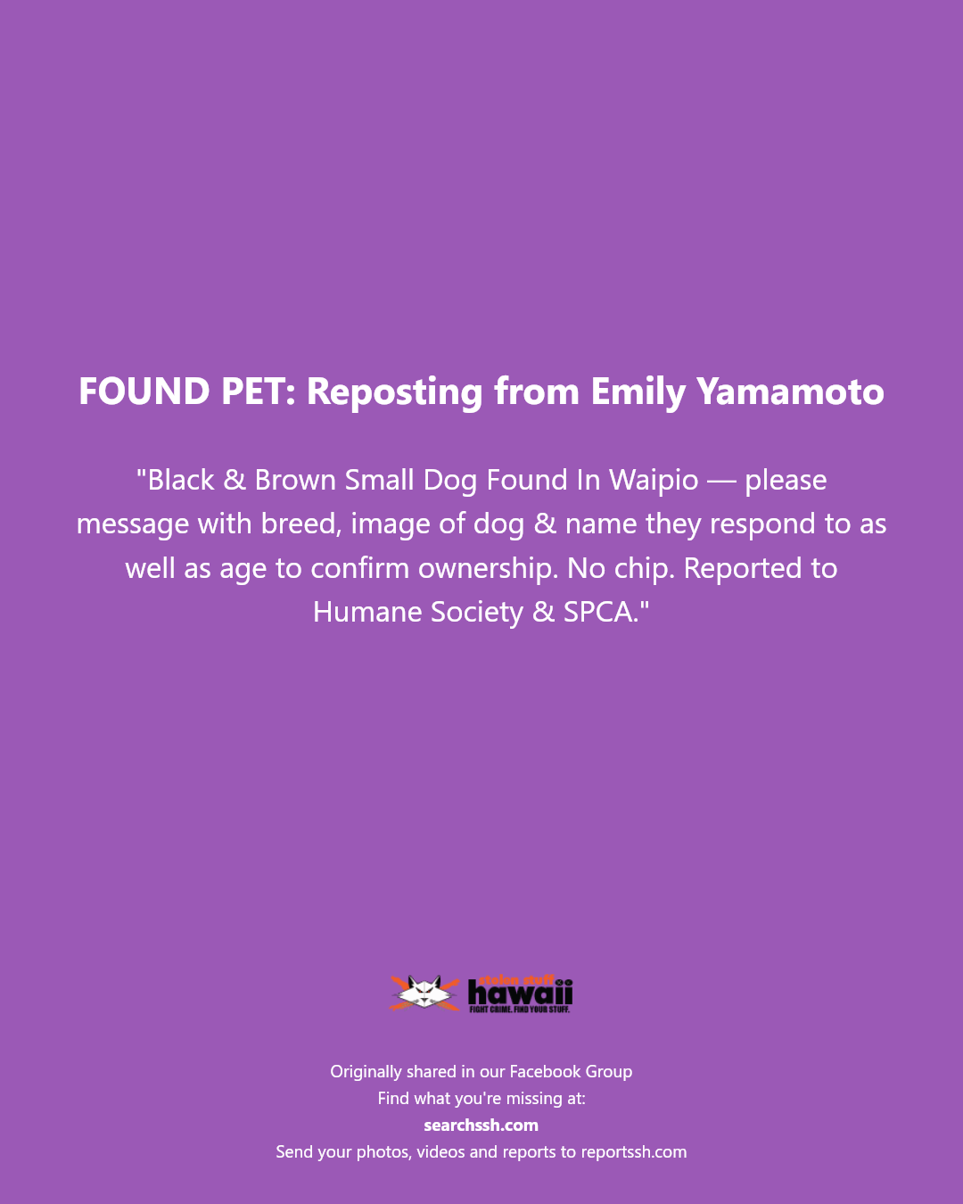 FOUND PET - Waipio, Oahu | Stolen Stuff Hawaii
