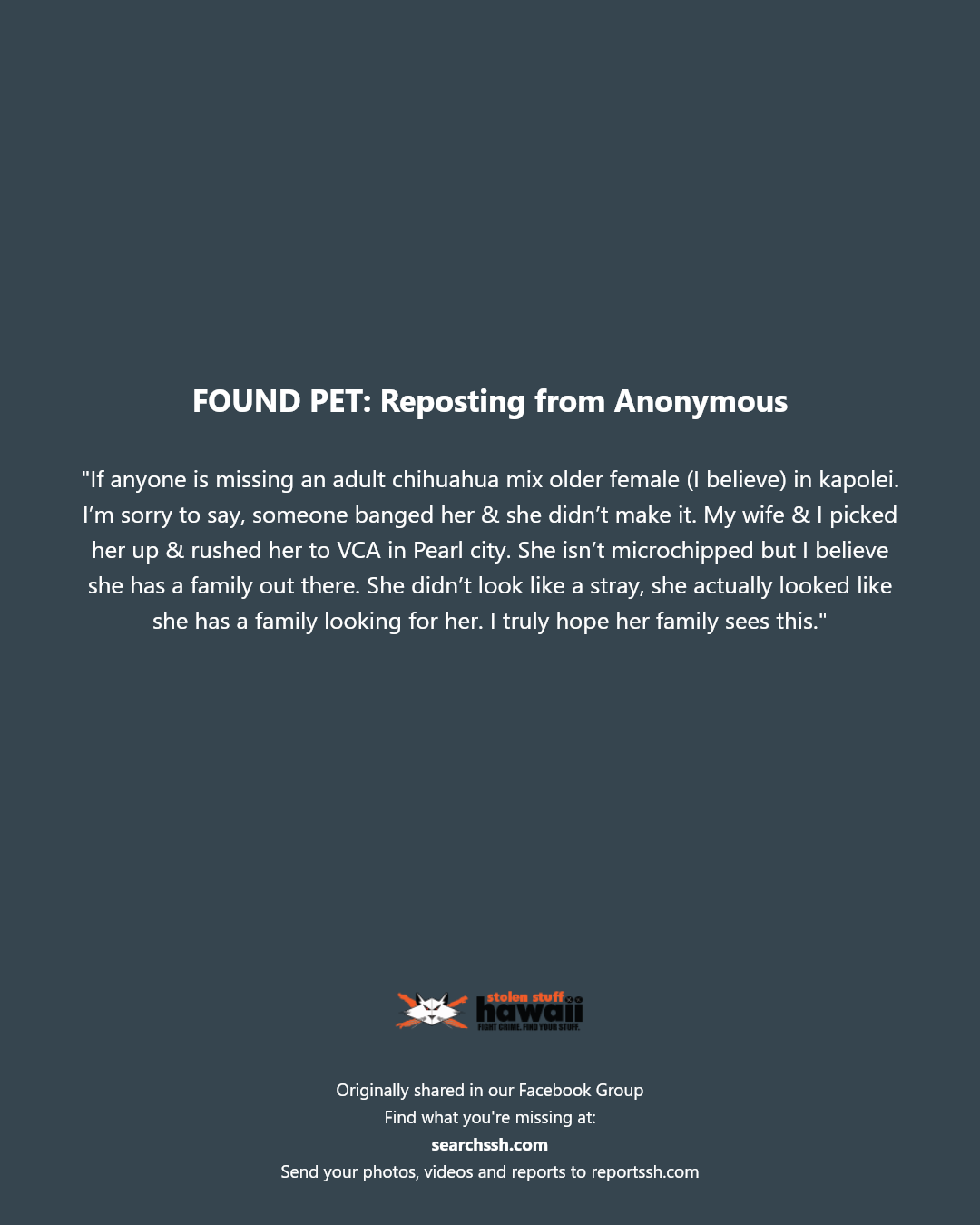 FOUND PET - VCA in Pearl City, Pearl City, Oahu | Stolen Stuff Hawaii