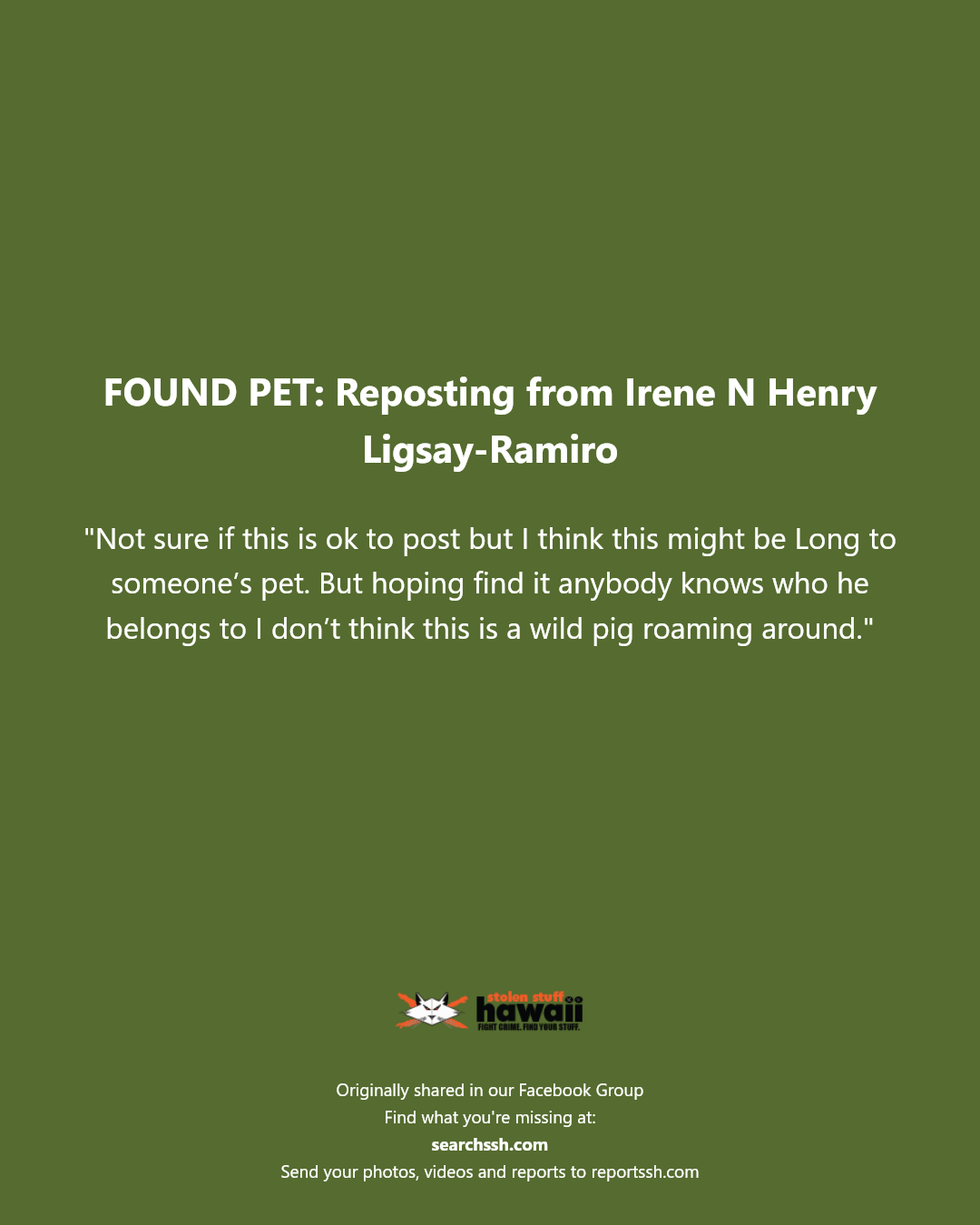 FOUND PET - Unknown | Stolen Stuff Hawaii