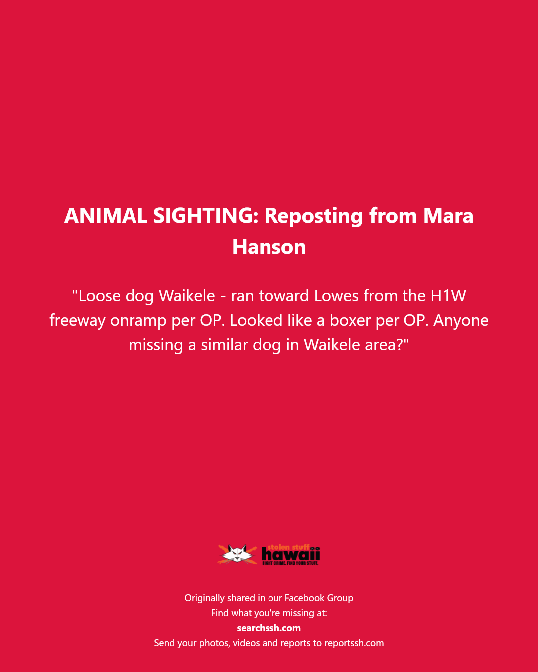 ANIMAL SIGHTING - Waikele, Oahu | Stolen Stuff Hawaii