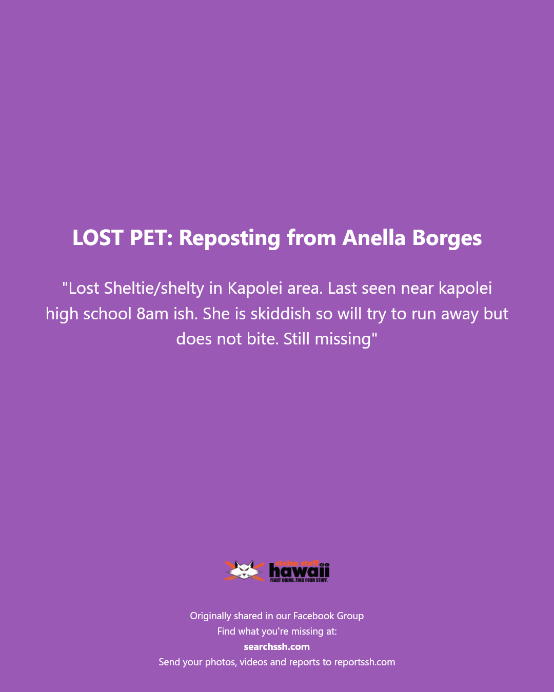 LOST PET - Kapolei High School, Kapolei, Oahu | Stolen Stuff Hawaii