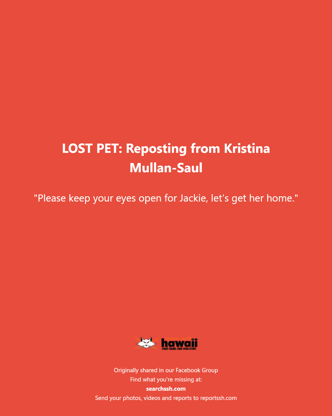 LOST PET - Unknown | Stolen Stuff Hawaii