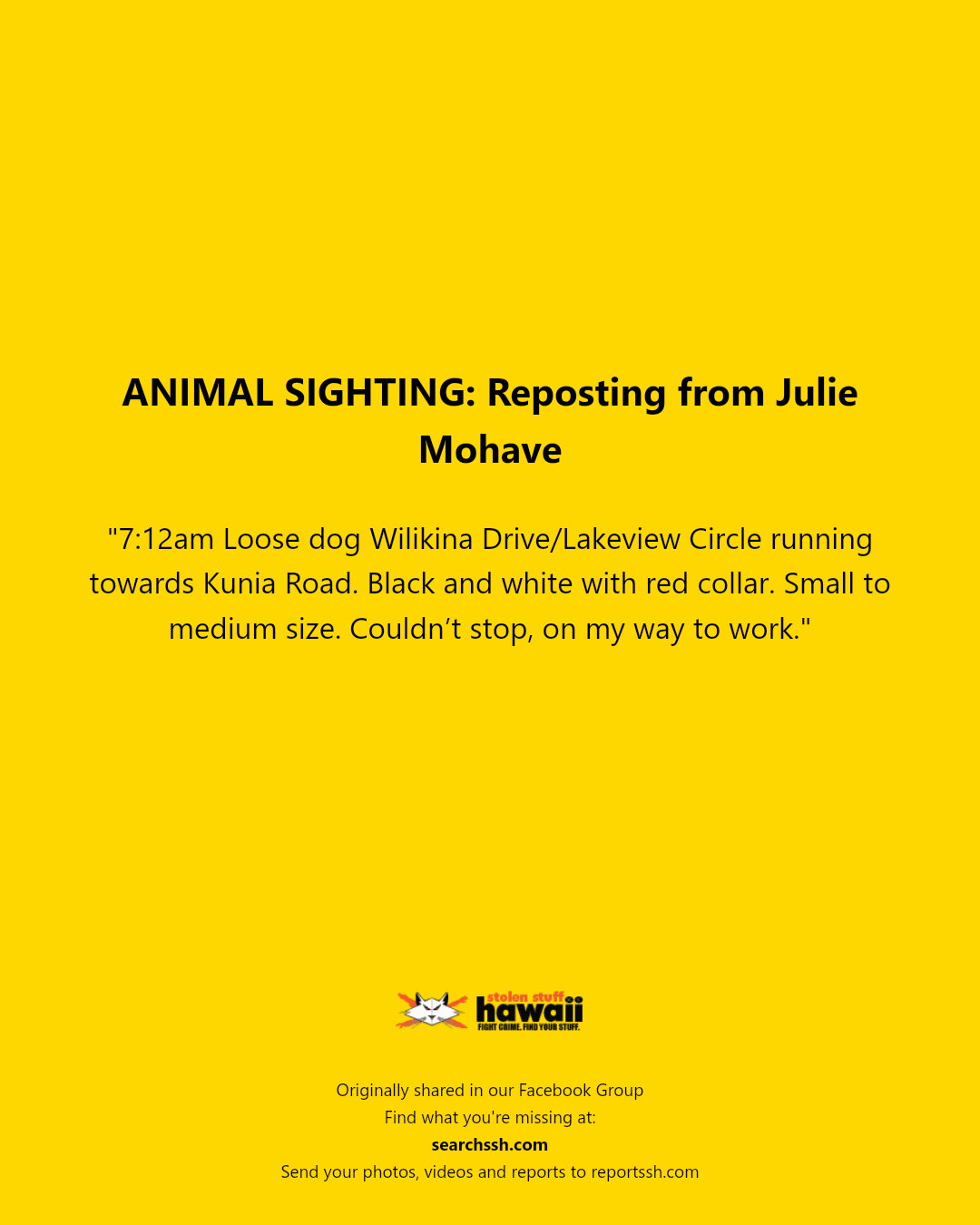 ANIMAL SIGHTING - Wilikina Drive/Lakeview Circle, Kunia Road | Stolen Stuff Hawaii