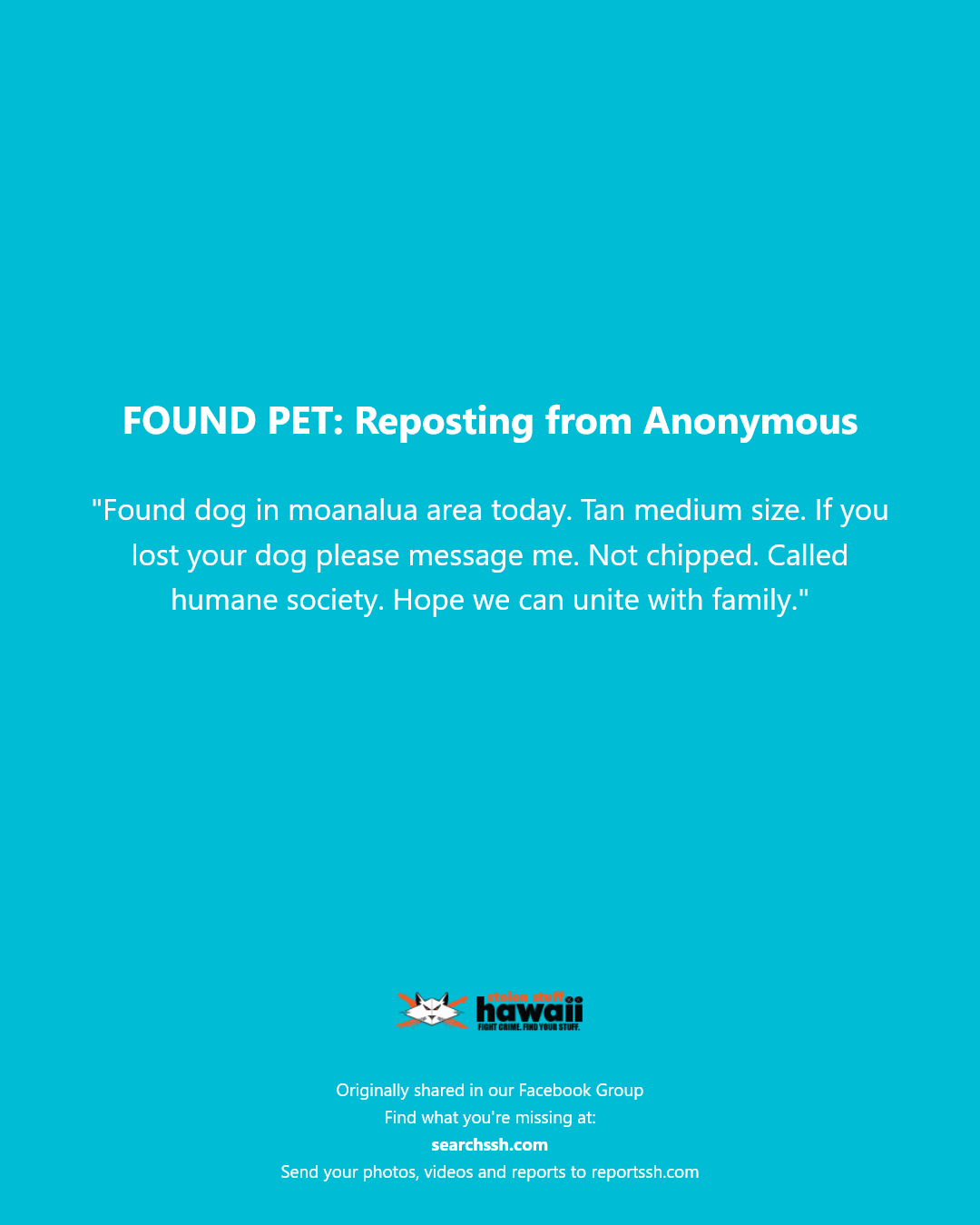FOUND PET - Moanalua area, Oahu | Stolen Stuff Hawaii