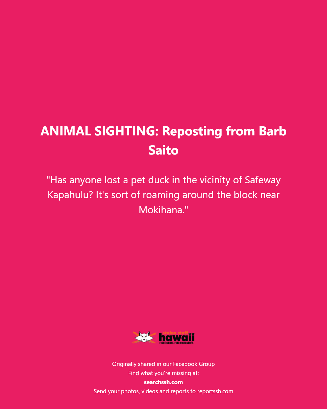 ANIMAL SIGHTING - Safeway Kapahulu, Mokihana Street, Honolulu, Oahu | Stolen Stuff Hawaii