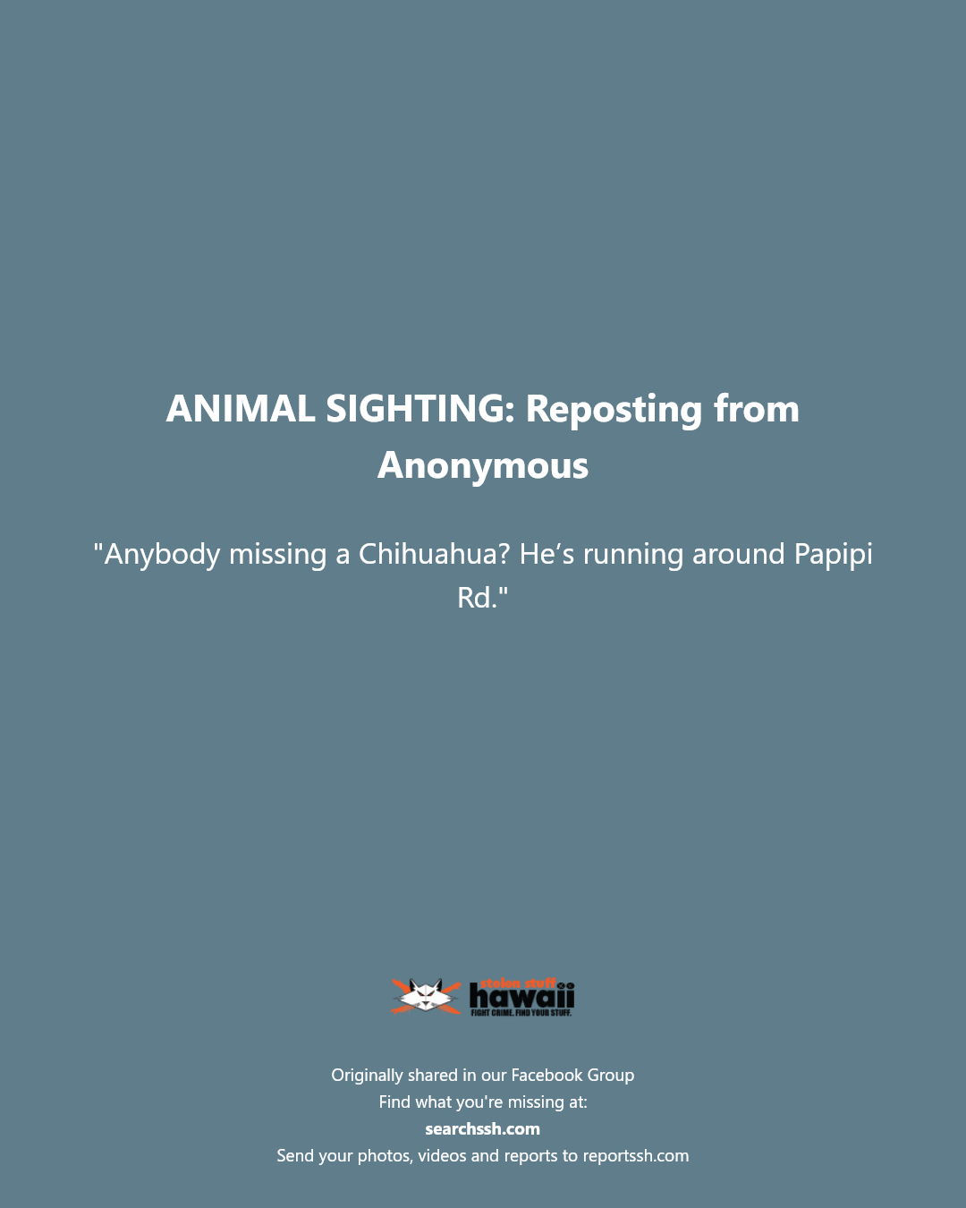 ANIMAL SIGHTING - Papipi Rd | Stolen Stuff Hawaii