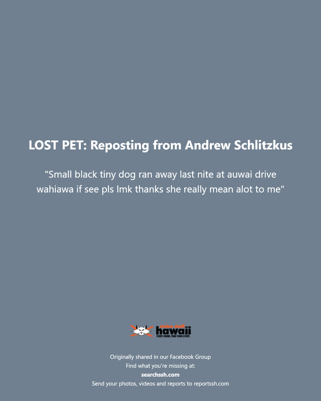 LOST PET - Auwai Drive, Wahiawa, Oahu | Stolen Stuff Hawaii