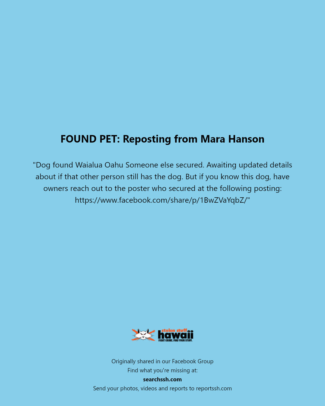 FOUND PET - Waialua, Oahu | Stolen Stuff Hawaii