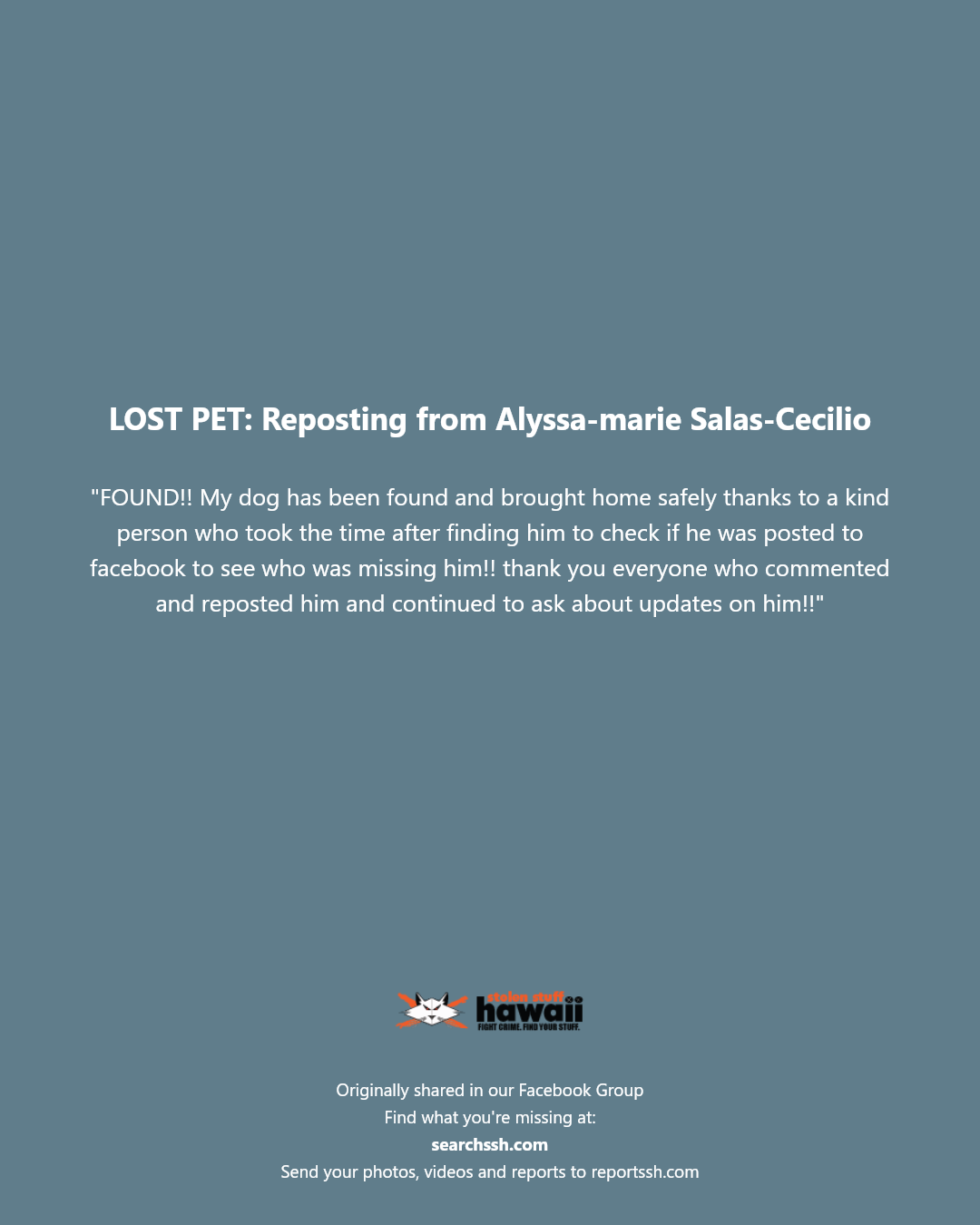 LOST PET - Unknown | Stolen Stuff Hawaii