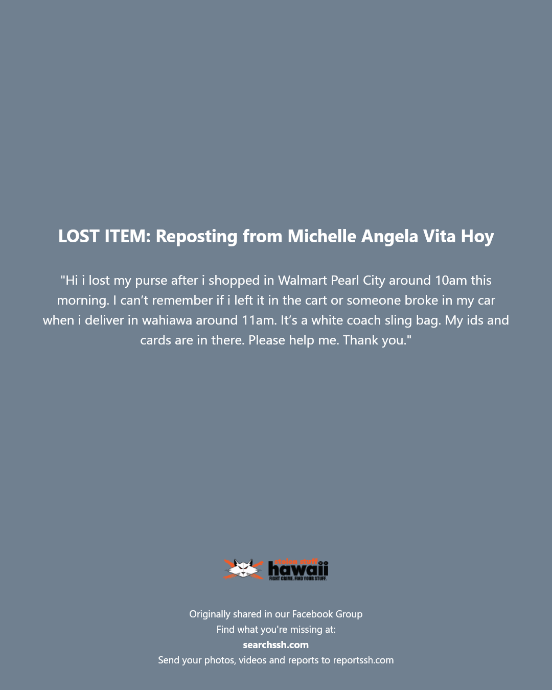 LOST ITEM - Walmart Pearl City, Pearl City, Oahu | Stolen Stuff Hawaii