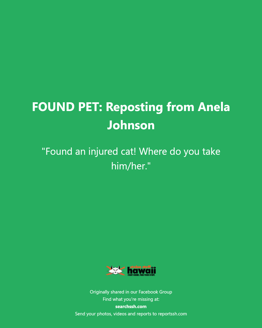 FOUND PET - Unknown | Stolen Stuff Hawaii