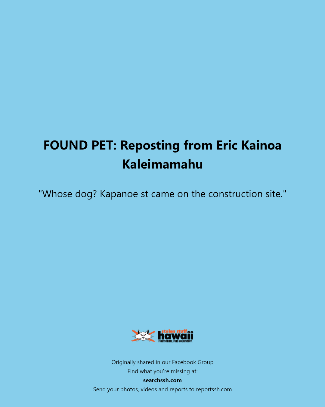FOUND PET - Kapanoe Street, NO_SPECIFIC_LOCATION | Stolen Stuff Hawaii