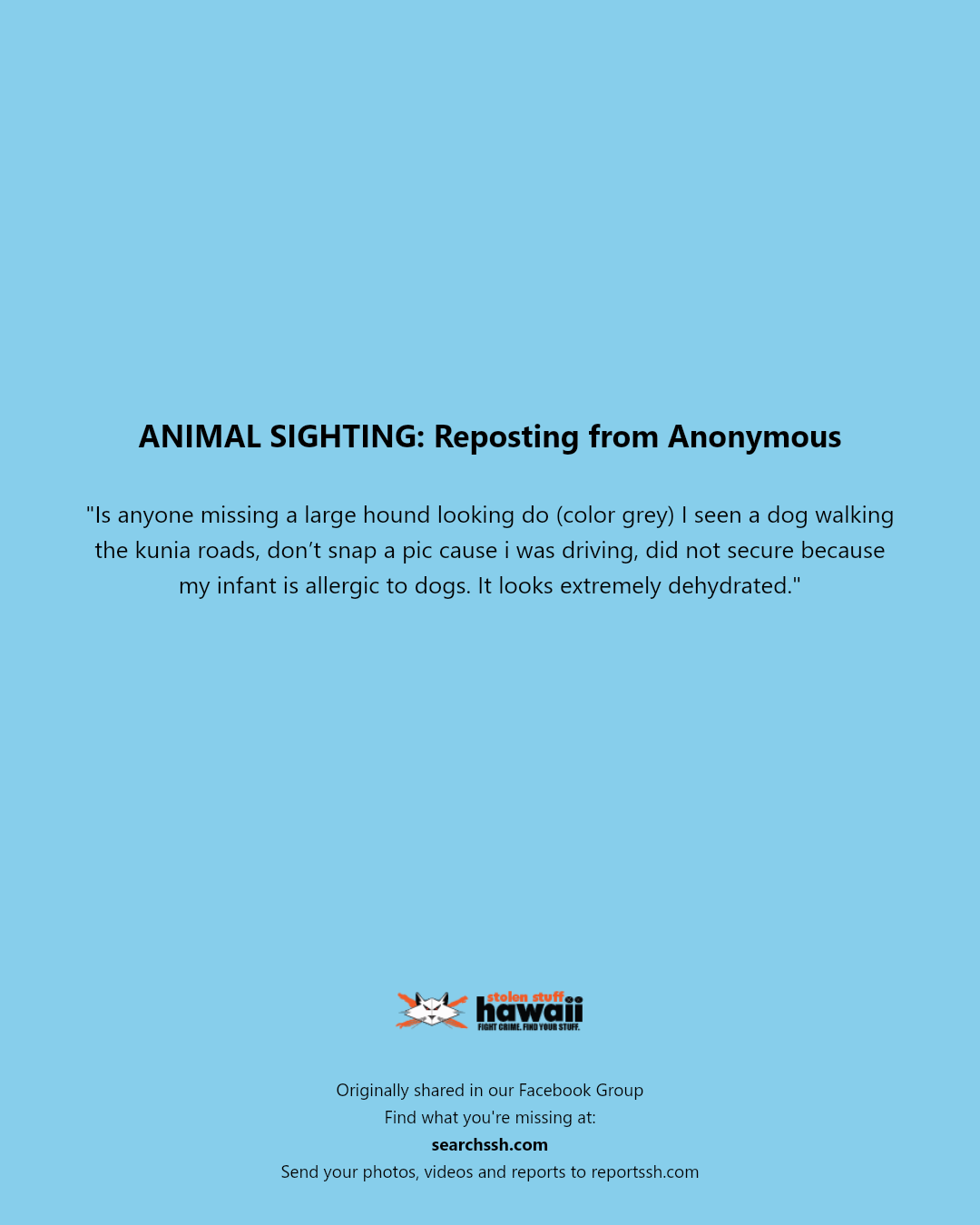ANIMAL SIGHTING - Unknown | Stolen Stuff Hawaii