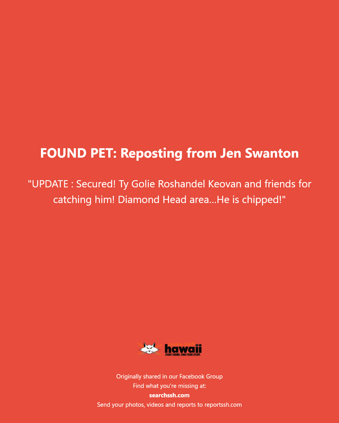 FOUND PET - Diamond Head area, Honolulu | Stolen Stuff Hawaii