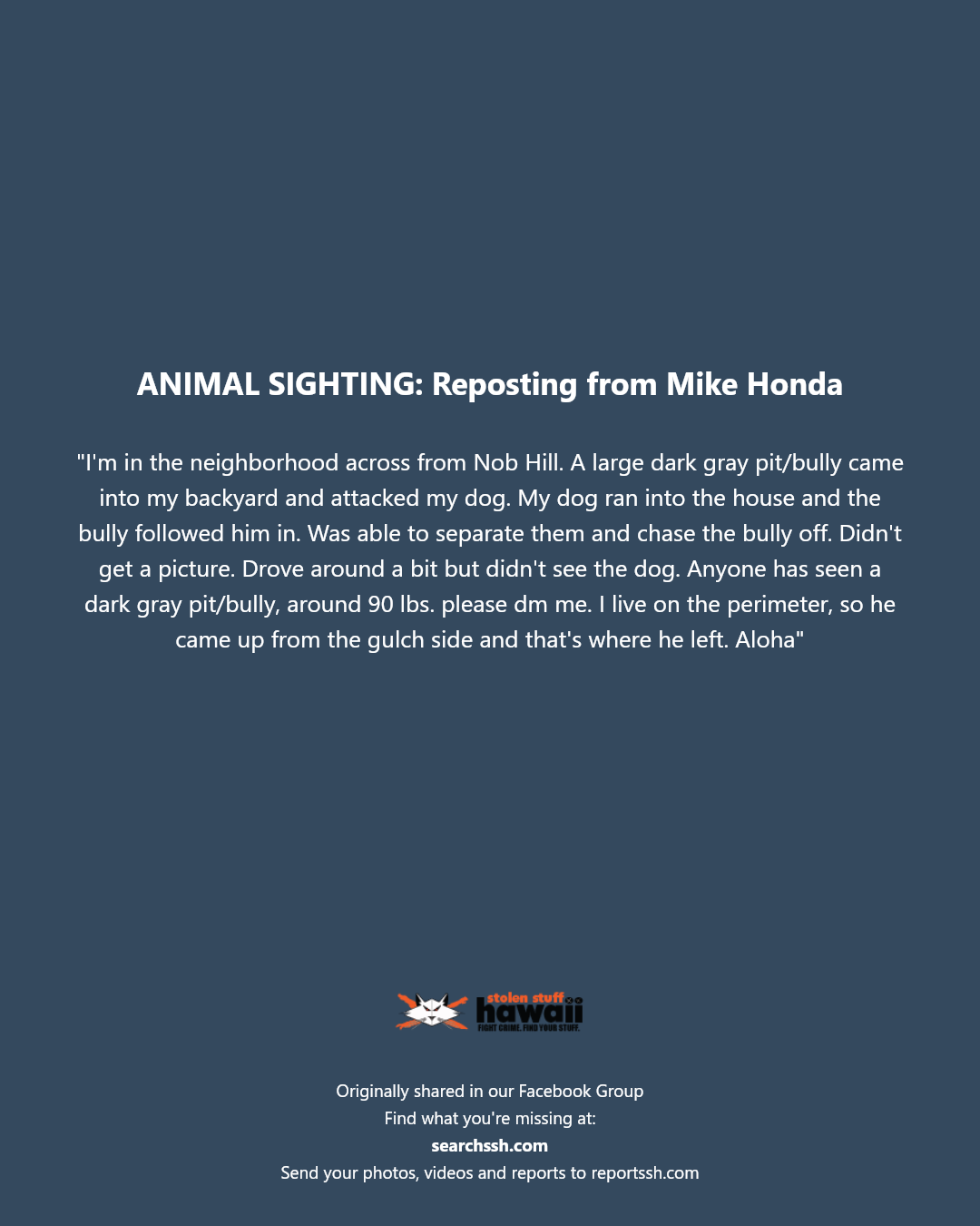 ANIMAL SIGHTING - Unknown | Stolen Stuff Hawaii