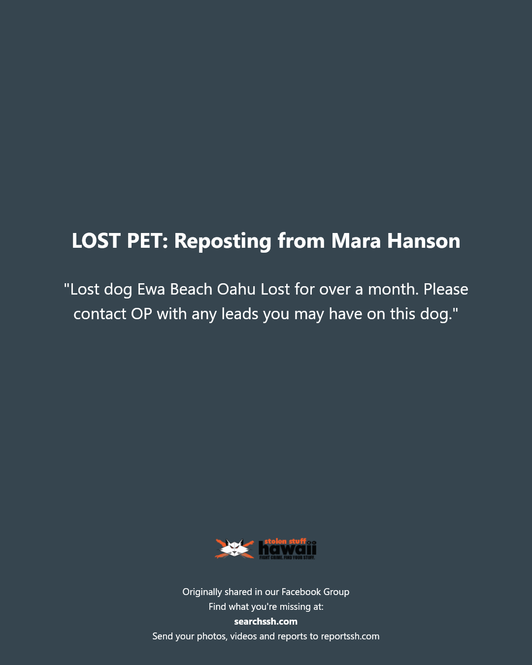 LOST PET - Ewa Beach, Oahu | Stolen Stuff Hawaii