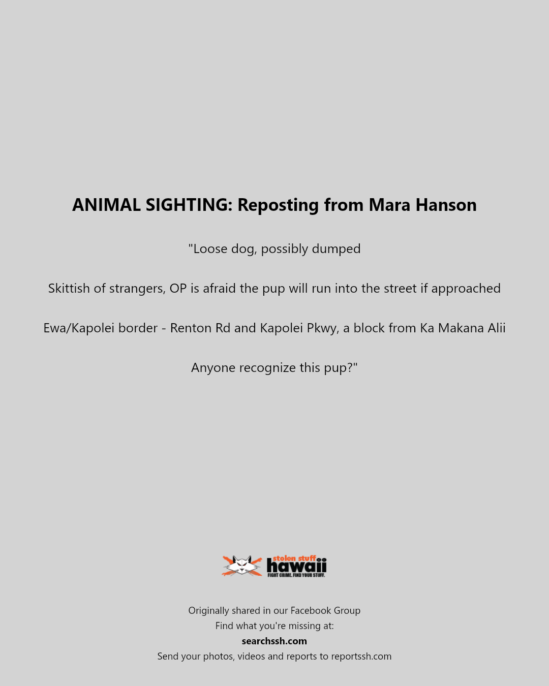 ANIMAL SIGHTING - Renton Road and Kapolei Parkway, Ewa/Kapolei border, Oahu | Stolen Stuff Hawaii
