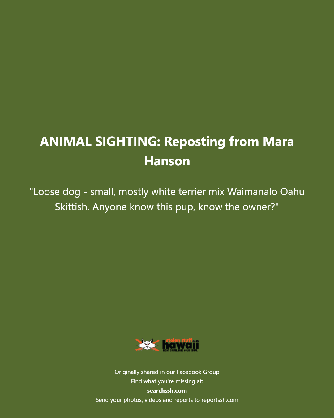 ANIMAL SIGHTING - Waimanalo, Oahu | Stolen Stuff Hawaii