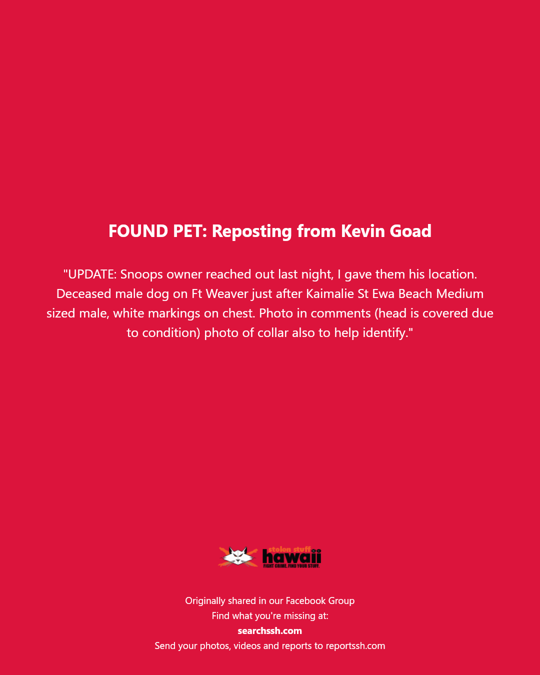 FOUND PET - Ft Weaver just after Kaimalie St, Ewa Beach | Stolen Stuff Hawaii
