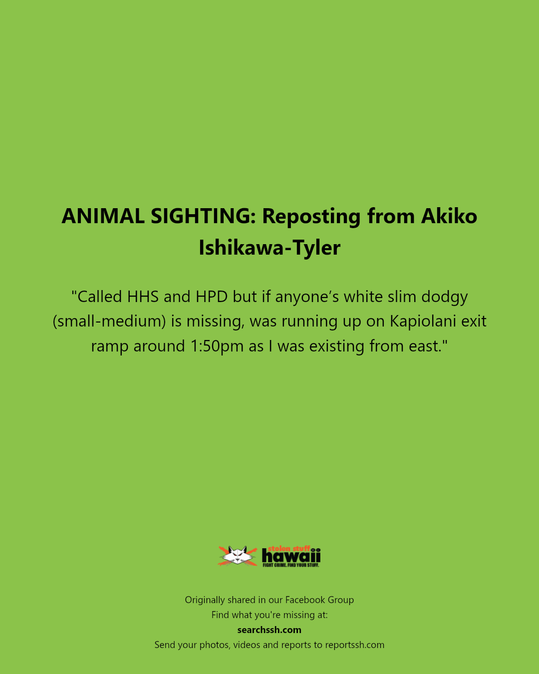 ANIMAL SIGHTING - Kapiolani exit ramp, Honolulu, Oahu | Stolen Stuff Hawaii