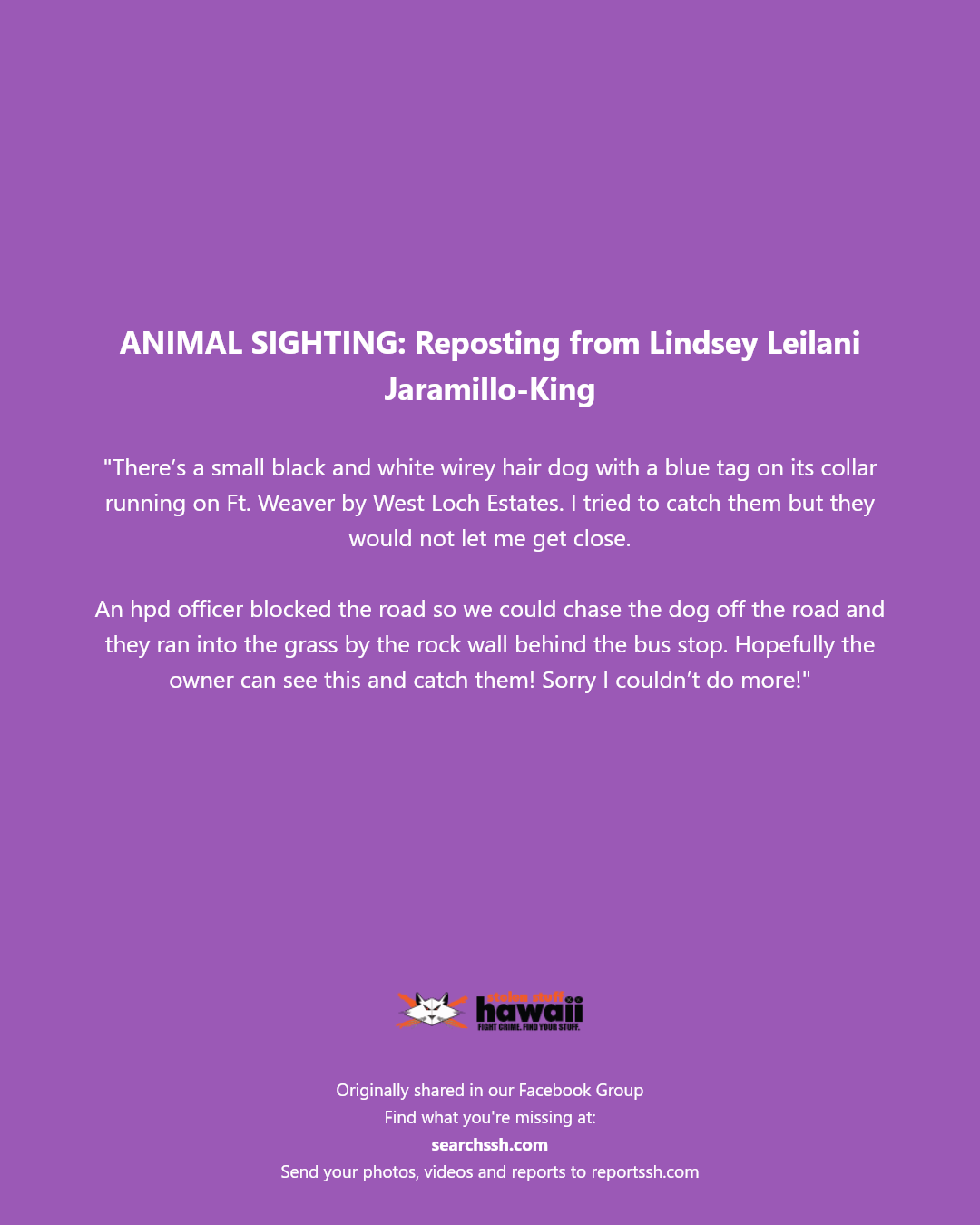 ANIMAL SIGHTING - Ft. Weaver by West Loch Estates, Oahu | Stolen Stuff Hawaii
