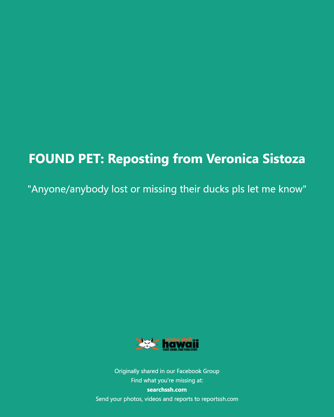 FOUND PET - Unknown | Stolen Stuff Hawaii