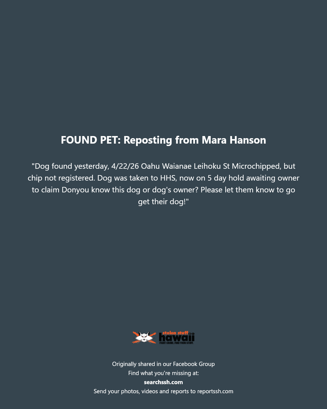 FOUND PET - Leihoku Street, Waianae, Oahu | Stolen Stuff Hawaii