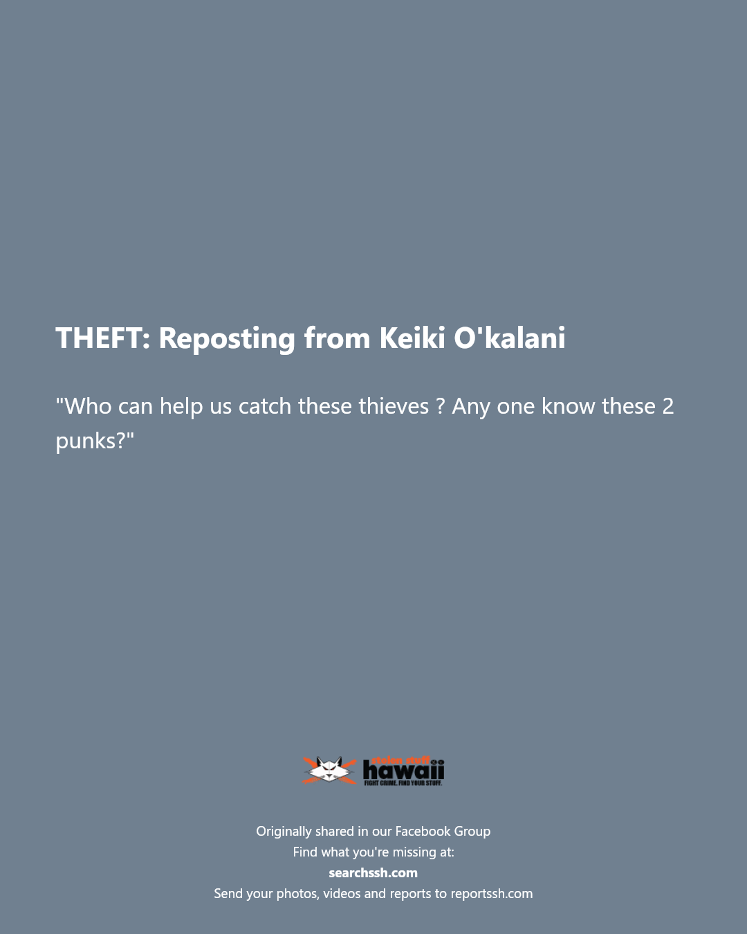 THEFT - Unknown | Stolen Stuff Hawaii