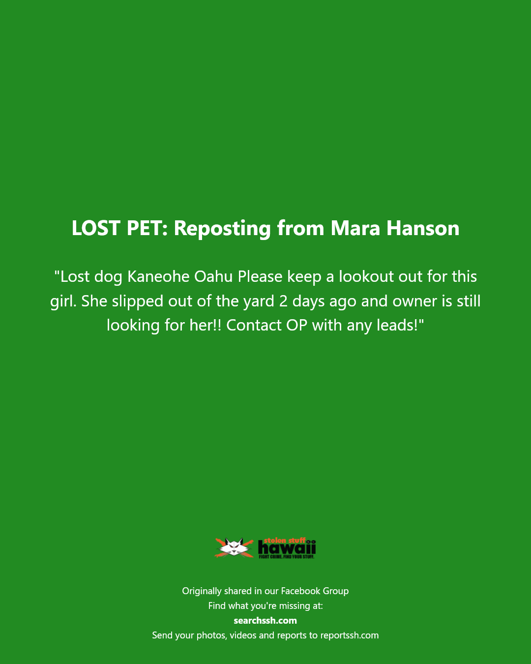 LOST PET - Kaneohe, Oahu | Stolen Stuff Hawaii