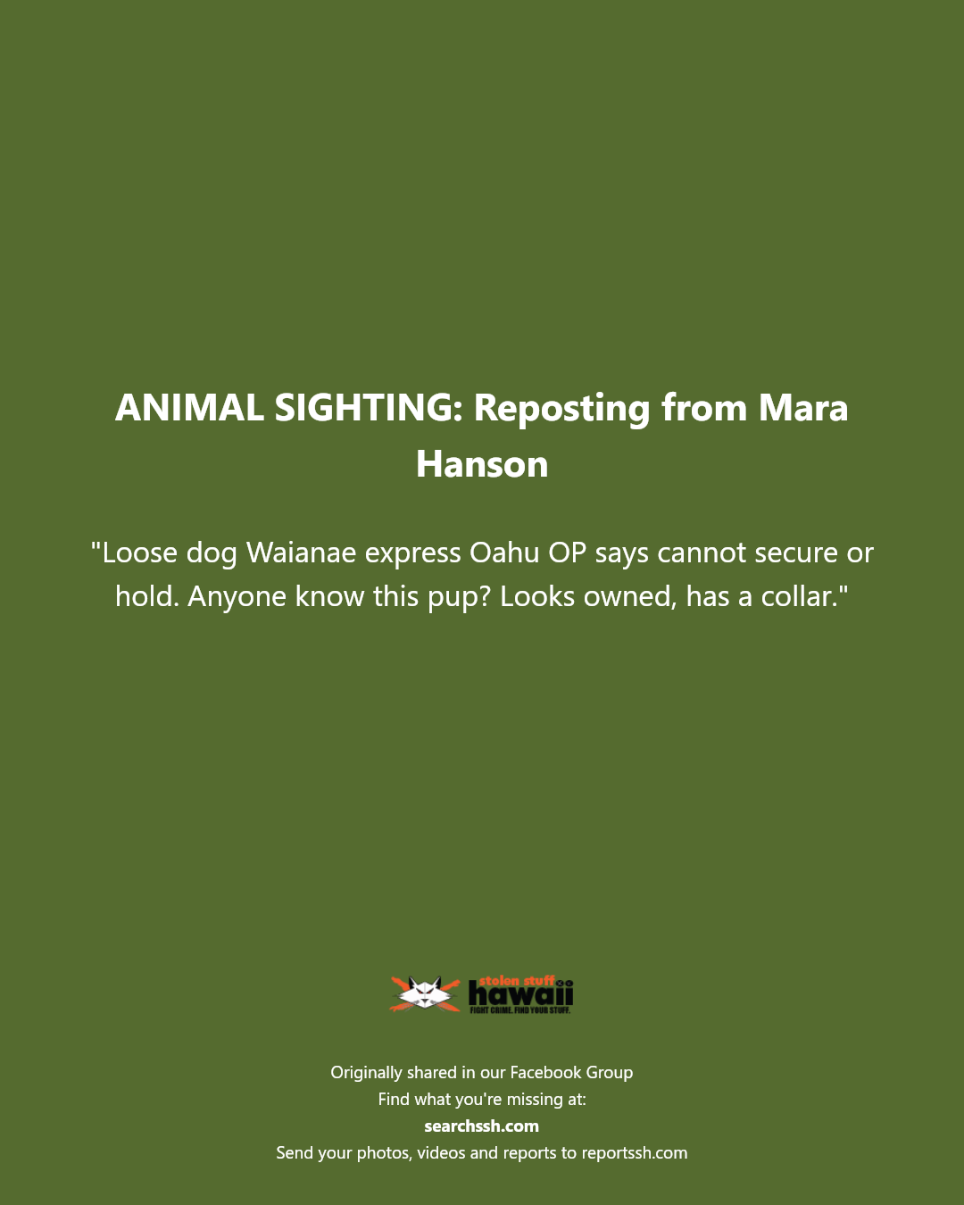 ANIMAL SIGHTING - Unknown | Stolen Stuff Hawaii