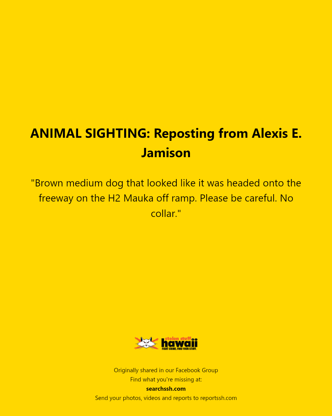 ANIMAL SIGHTING - Unknown | Stolen Stuff Hawaii