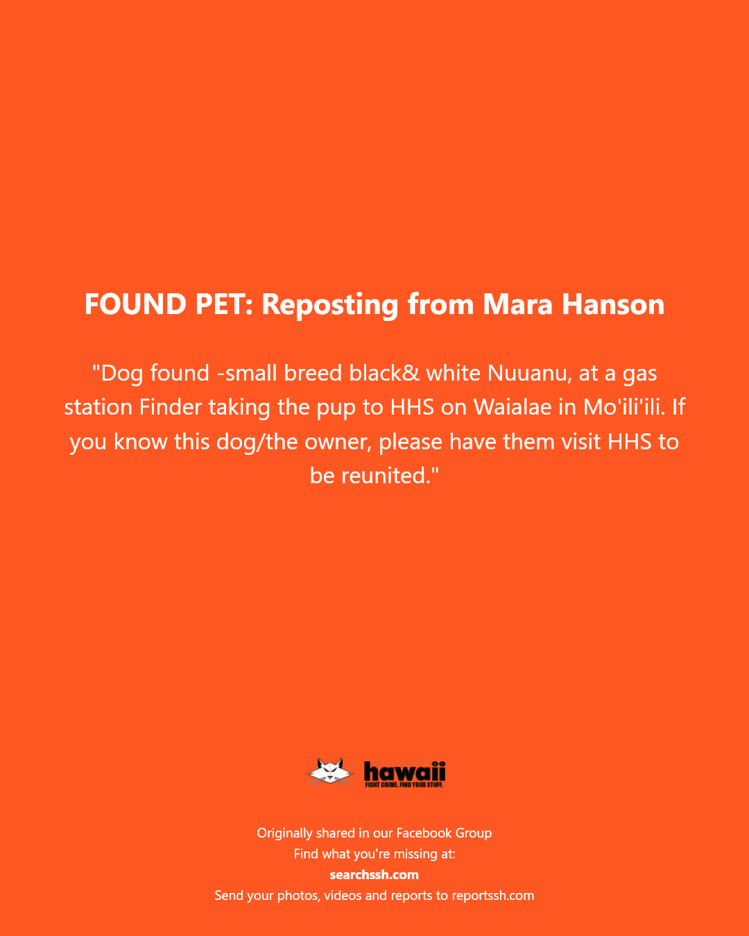 FOUND PET - Waialae Avenue, Mo'ili'ili, Oahu | Stolen Stuff Hawaii