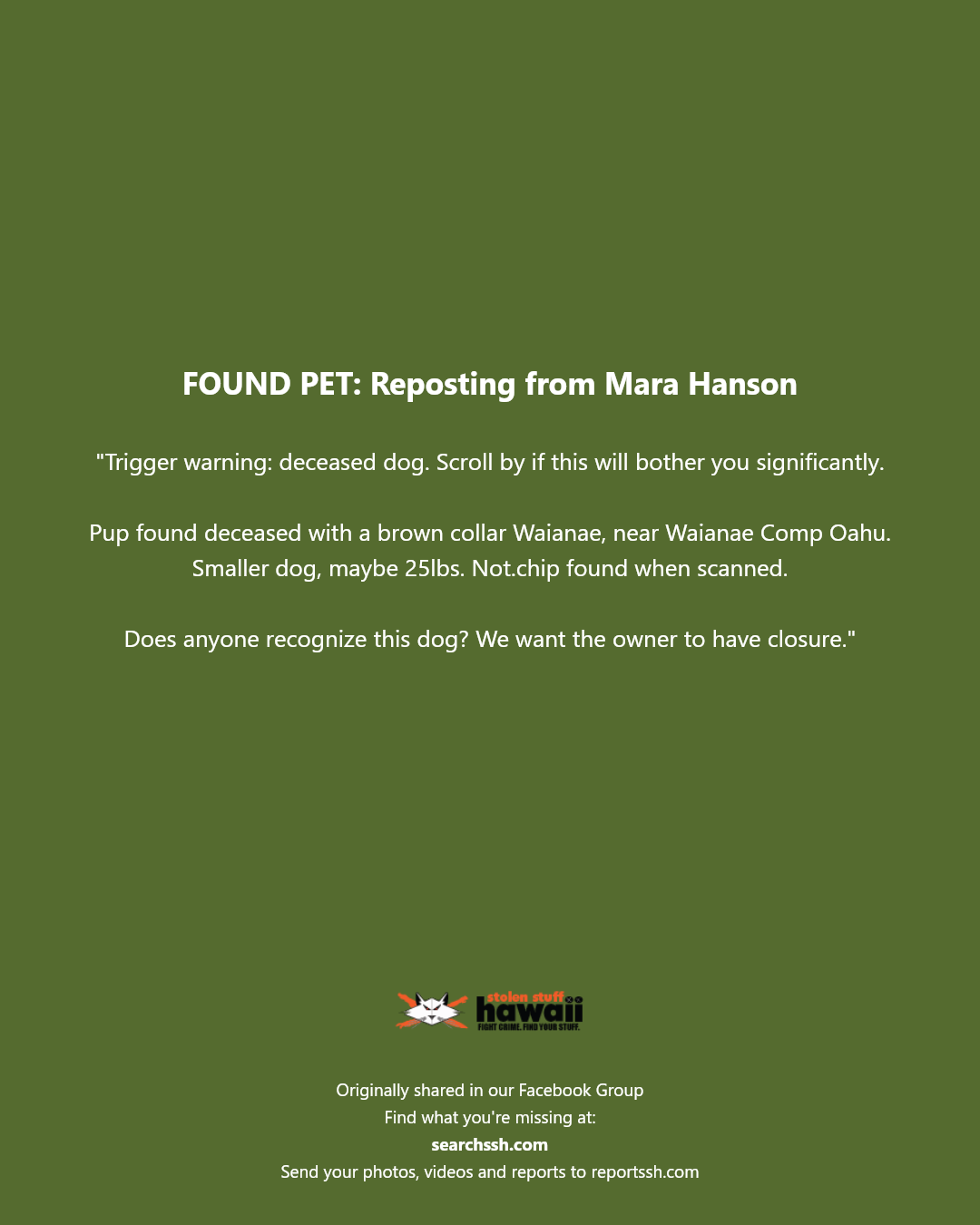 FOUND PET - Waianae, near Waianae Comp, Oahu | Stolen Stuff Hawaii