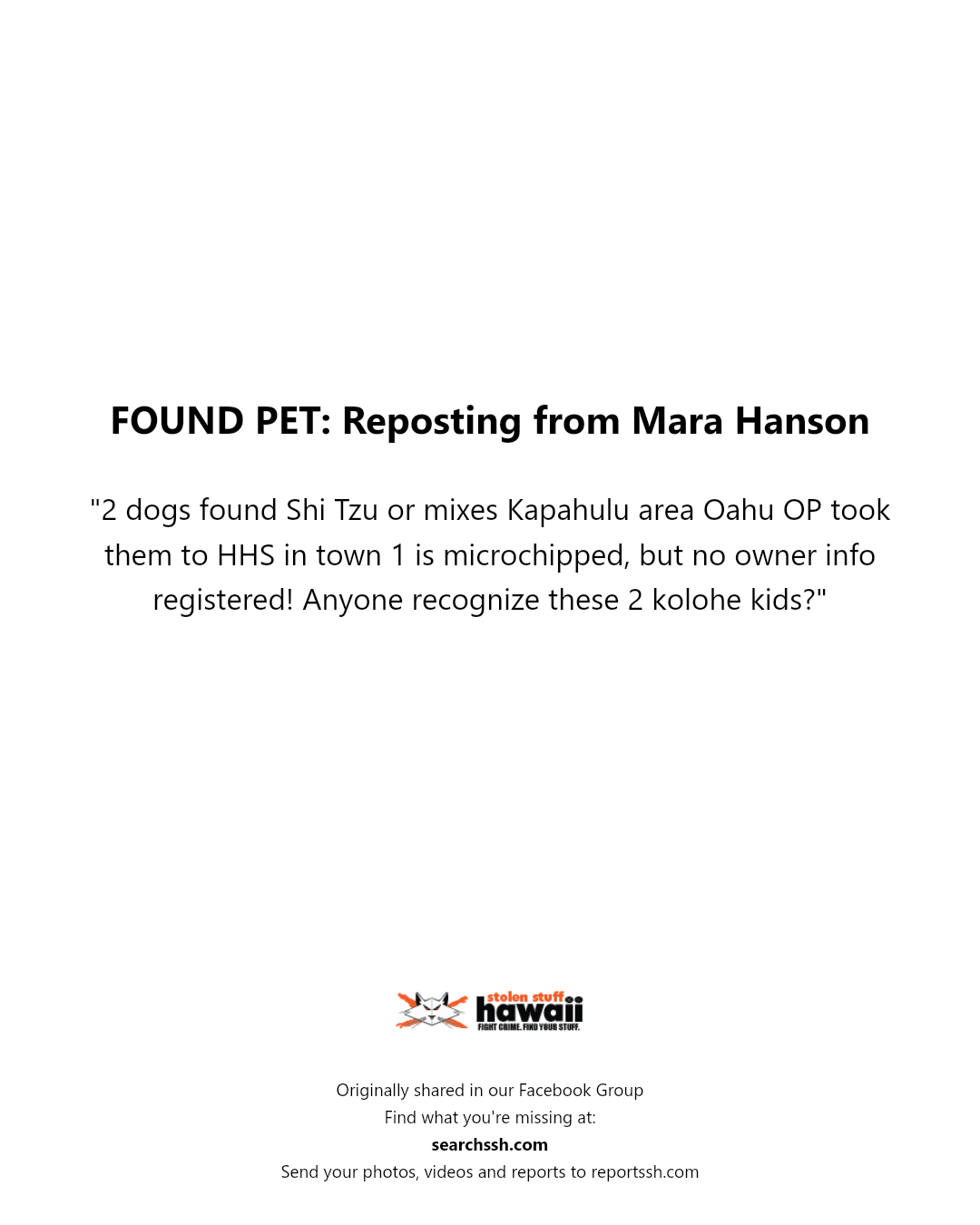 FOUND PET - Kapahulu area, Oahu | Stolen Stuff Hawaii
